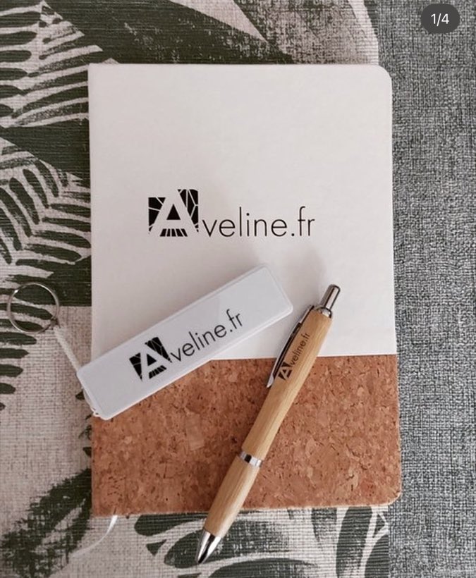Carnet, stylo et clé USB marqués